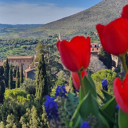 Vicolo D'Este Tívoli Exterior foto
