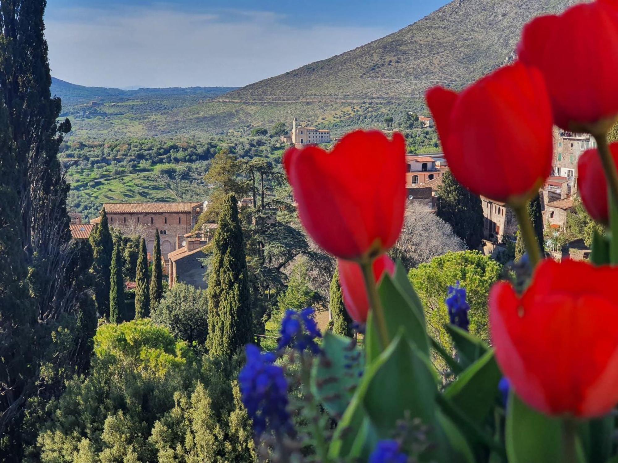 Vicolo D'Este Tívoli Exterior foto